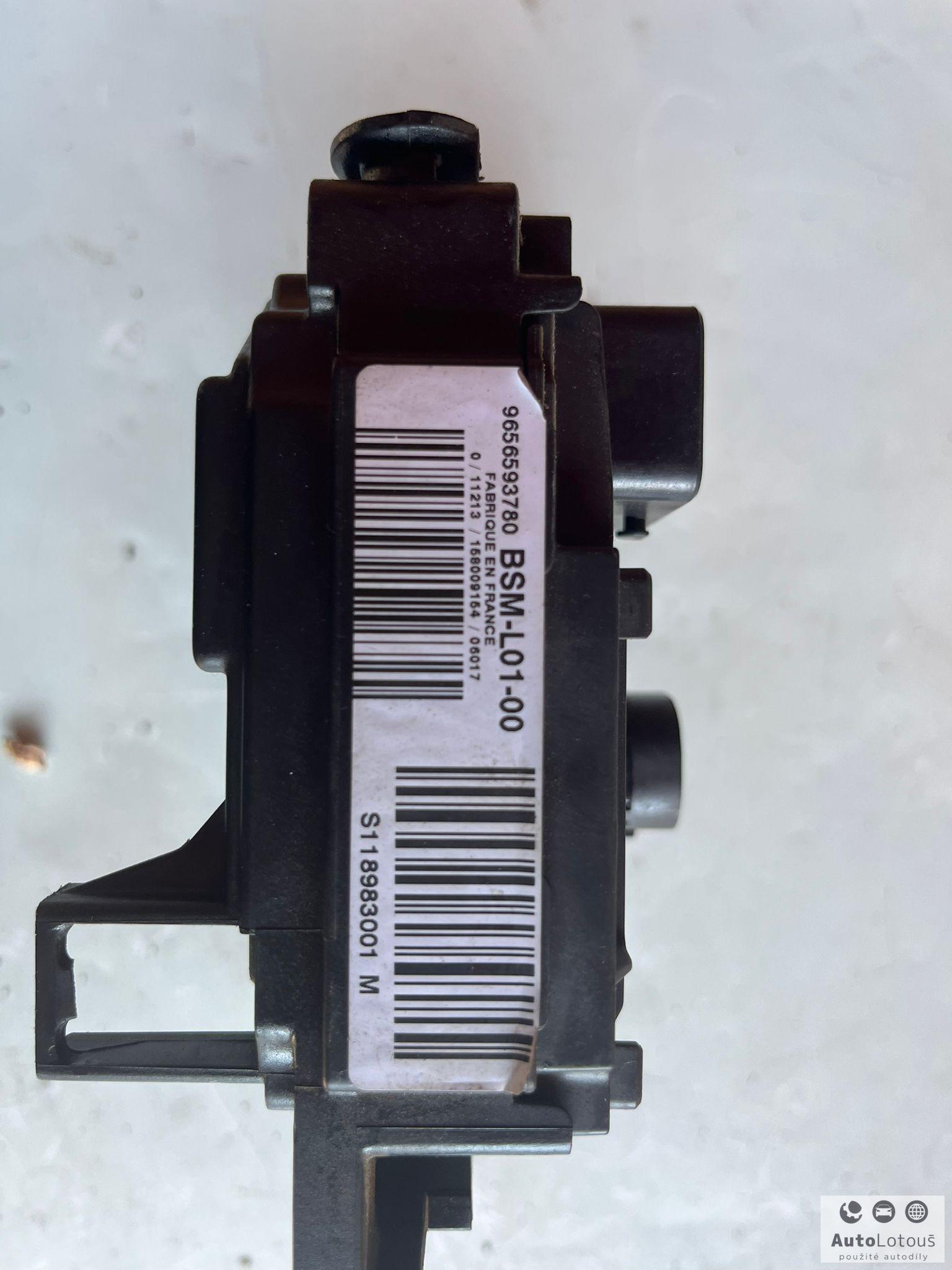 BSM L01-00 Siemens Citroën Peugeot 9656593780